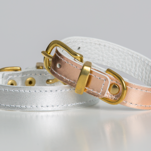 Silver Collar - M