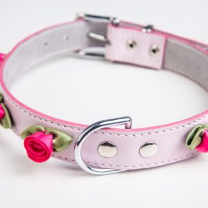 Rosie Collar