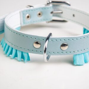 Sky Collar