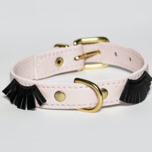 LASHES Collar