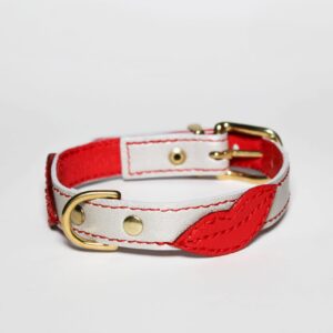 LIPS Collar