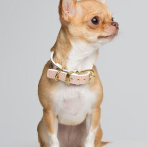 Rose Gold Collar