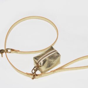 Gold Leash