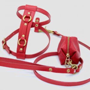Red Leash