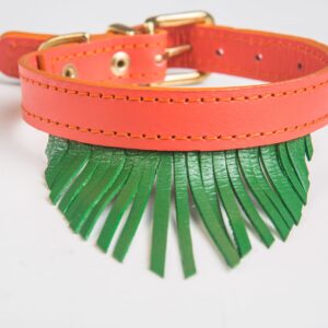 Palmtree Collar