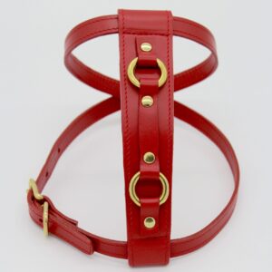 Red Harness