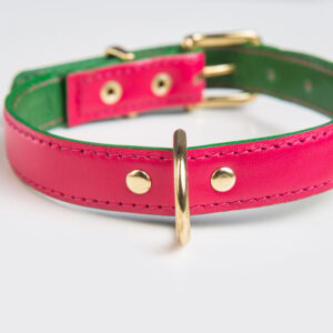 Tropical Flower Collar