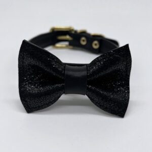 Charlie Collar