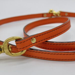 Classic Leash