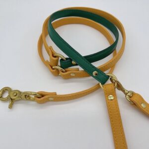Rio Leash