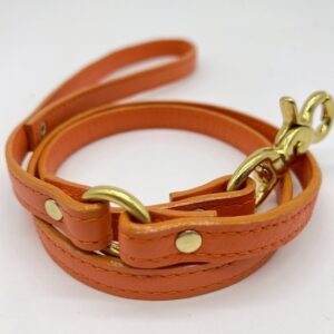 Orange Leash