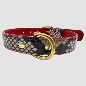 Red Snake Collar